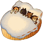 Thank your for visiting NY Mews Cattery!  We have persians and himalayans in many colors