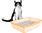 Cat and litter pan graphic