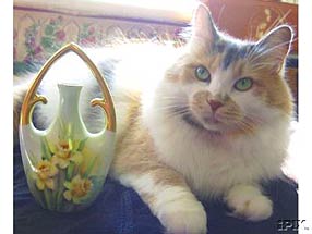 lovely cat with vase