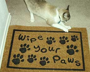 cat wiping his paws on mat