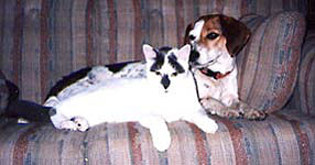 Pippin and Sophie best of pals