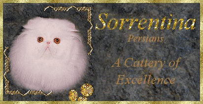 sorrentina